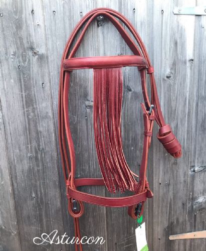 Knot Vaquera Bridle